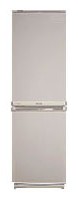 Charakteristik Kühlschrank Samsung RL-17 MBMS Foto