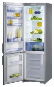 katangian Refrigerator Gorenje RK 61391 E larawan