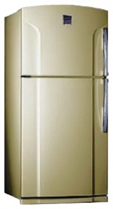 Charakteristik Kühlschrank Toshiba GR-Y74RD СS Foto