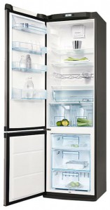 katangian Refrigerator Electrolux ERA 40633 X larawan