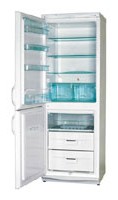 Charakteristik Kühlschrank Polar RF 310 Foto