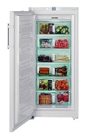 Характеристики Холодильник Liebherr GNP 31560 фото