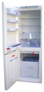 Charakteristik Kühlschrank Snaige RF36SH-S10001 Foto