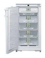 Charakteristik Kühlschrank Liebherr GSNP 2026 Foto