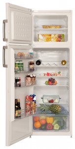 характеристики Холодильник BEKO DS 233020 Фото
