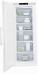 Electrolux EUF 2241 AOW Холодильник морозильний-шафа
