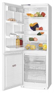 katangian Refrigerator ATLANT ХМ 6019-028 larawan