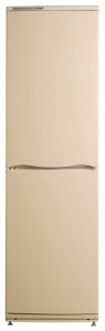 katangian Refrigerator ATLANT ХМ 6025-081 larawan