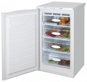katangian Refrigerator NORD 161-010 larawan