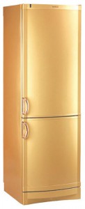 Charakteristik Kühlschrank Vestfrost BKF 404 E Gold Foto