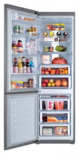 Charakteristik Kühlschrank Samsung RL-55 VQBRS Foto