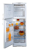 Charakteristik Kühlschrank Stinol R 36 NF Foto