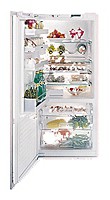 характеристики Холодильник Gaggenau IK 961-126 Фото