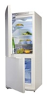 đặc điểm Tủ lạnh Snaige RF27SM-S10021 ảnh