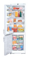 özellikleri Buzdolabı Liebherr KGN 3836 fotoğraf