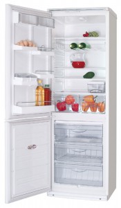 katangian Refrigerator ATLANT ХМ 6019-012 larawan