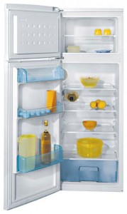 katangian Refrigerator BEKO DSA 25010 larawan