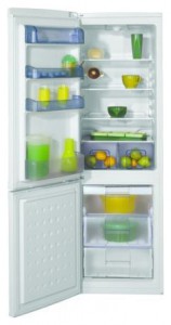 Charakteristik Kühlschrank BEKO CSA 29010 Foto