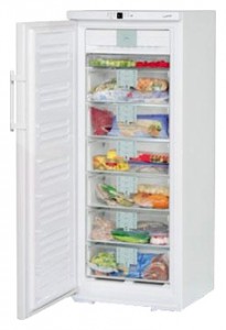 katangian Refrigerator Liebherr GNP 2906 larawan