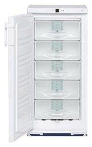 Charakteristik Kühlschrank Liebherr G 2013 Foto