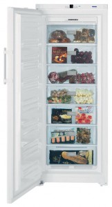 đặc điểm Tủ lạnh Liebherr GN 3613 ảnh
