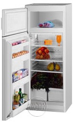 Charakteristik Kühlschrank Exqvisit 214-1-9005 Foto