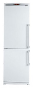 đặc điểm Tủ lạnh Blomberg KKD 1650 ảnh