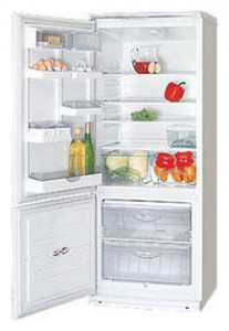 Charakteristik Kühlschrank ATLANT ХМ 4009-001 Foto