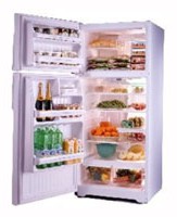 Charakteristik Kühlschrank General Electric GTG16HBMSS Foto