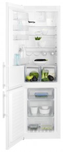 характеристики Холодильник Electrolux EN 3852 JOW Фото