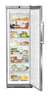 Характеристики Холодильник Liebherr GNes 2866 фото