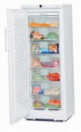 Liebherr GN 2553 Tủ lạnh tủ đông cái tủ