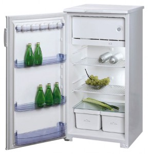 χαρακτηριστικά Ψυγείο Бирюса 10 ЕK φωτογραφία