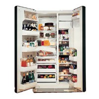 đặc điểm Tủ lạnh General Electric TPG21BRBB ảnh