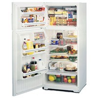 đặc điểm Tủ lạnh General Electric TBG16JA ảnh