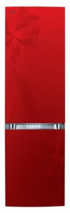 Charakteristik Kühlschrank LG GA-B439 TLRF Foto