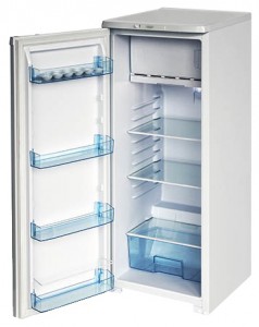 Charakteristik Kühlschrank Бирюса R110CA Foto