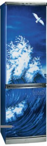 Charakteristik Kühlschrank Hotpoint-Ariston ERFV 402D WV Foto