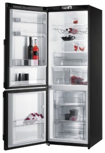 katangian Refrigerator Gorenje RK 65 SYB larawan