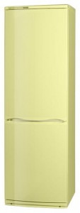 katangian Refrigerator ATLANT ХМ 6021-081 larawan