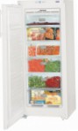 Liebherr GN 2323 Fridge freezer-cupboard