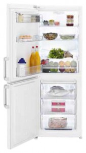 özellikleri Buzdolabı BEKO CS 131020 fotoğraf