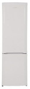 Charakteristik Kühlschrank BEKO CSA 31021 Foto