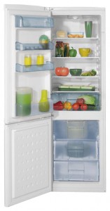 katangian Refrigerator BEKO CS 328020 larawan