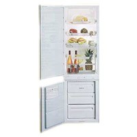 Charakteristik Kühlschrank Zanussi ZI 310 Foto