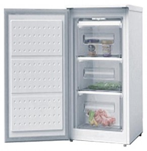 Charakteristik Kühlschrank Wellton GF-80 Foto