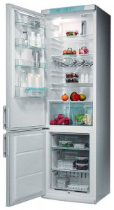 katangian Refrigerator Electrolux ERB 9042 larawan