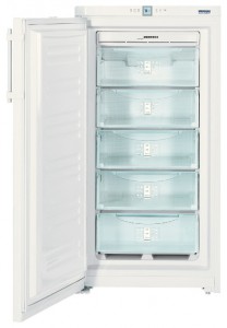 đặc điểm Tủ lạnh Liebherr GNP 2666 ảnh