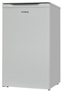 Charakteristik Kühlschrank Delfa BD-80 Foto