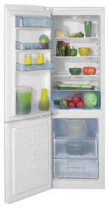 Характеристики Холодильник BEKO CS 332020 фото